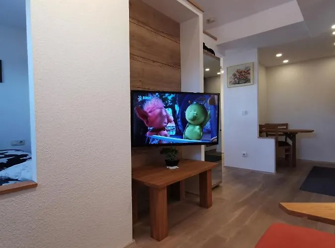 Und Guertler Appartement Werdau